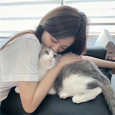 梦游仙境