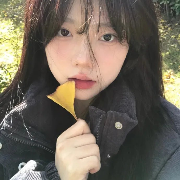 煎饼果子来一套